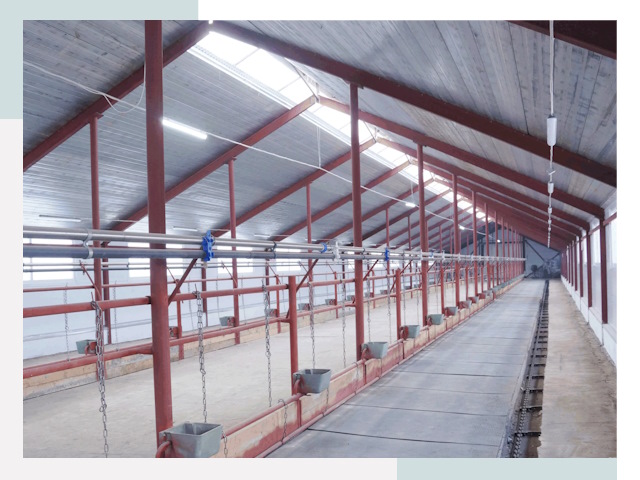 Строительство коровников в Курчатове от 611 руб.